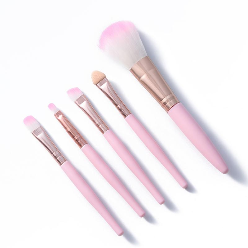 5pcs/set Makeup Brush Set Beginner Beauty Tools Makeup Brush Five-piece Blush Brush Eye Shadow Brush Lip Brush Cosmetics TSLM1
