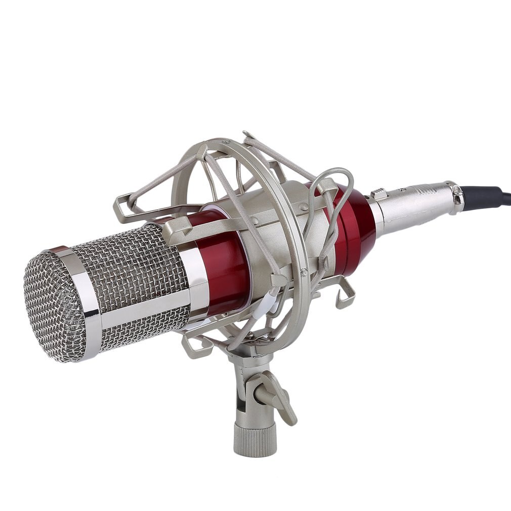 Professionele Condensator Sound Opname Microfoon Met Mount Houder Voor Karaoke Radio Braodcasting Zingen