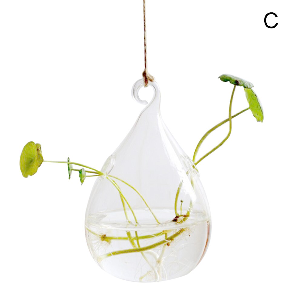 Hanging Transparent Glass Vases Flower Hydroponic Plants Office Home Decoration Terrarium DEC889: C