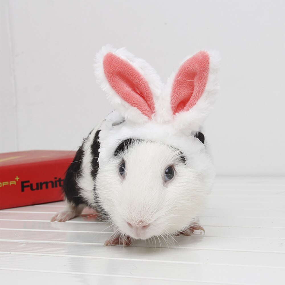 niedlich Haustier Katze Guinea Schwein Chinchilla Hut mit Ohren Hamster Kostüm Ohren klein Haustier Kopfbedeckung dekorativ Hut
