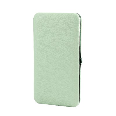 Makeup Eyelashes tweezer Tools Bag EyeLash Extension Tweezers Case Cosmetic Tool Storage Box For tweezer kit Tweezers Protective: light green