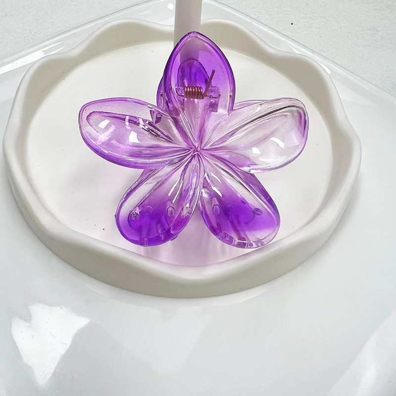 Aishg 8cm gradient ei bloem acryl haarclip voor dames vintage haarklemmen krabklem haarspeldjes meisjes hoofddeksel accessoires: Champagne