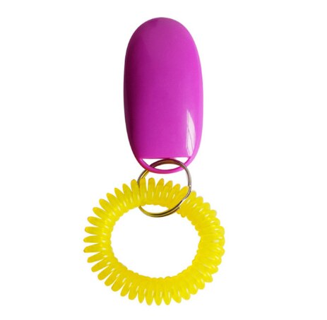 Bonzerpet-sifflet en plastique | Clicker d'entraînement de chien, en plastique chat, outil d'entraînement, Guide d'aide, sangle de poignet élastique, bouton sonore, 1 pièce: VIOLET