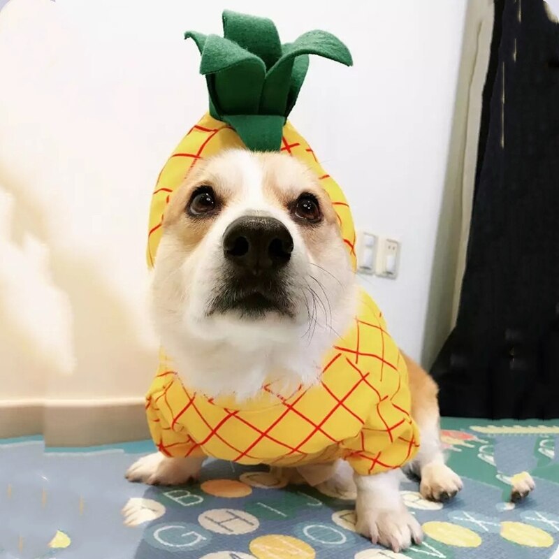 Funny Fruit Puppy Costume Pet Dog Clothes for Small Dogs Chihuahua Pug Cute Hoodies French Bulldog Apple Pineapple Apparel ZZC02