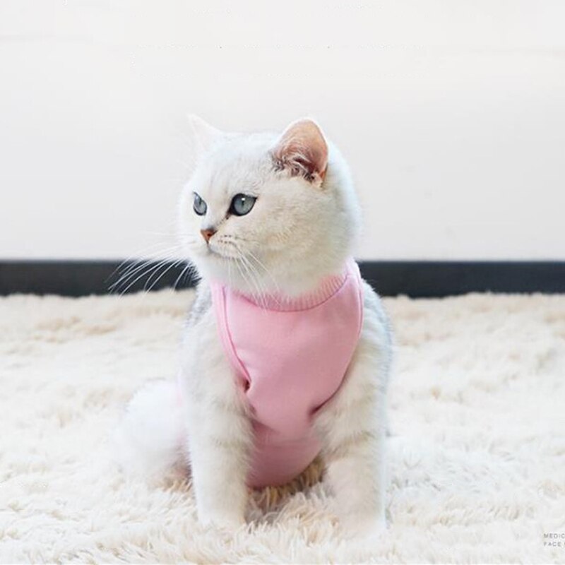 Kat Sterilisatie Pak Anti-Lick Herstel Kleding Na Operatie Voor Kleine Hond Kat Jumpsuit Kitten Spenen Pak Huisdier Care Kleding Kat Sterilisatie Pak Anti-Lick Herstel Kleding Na Operatie Voor Kleine Hond Kat Jumpsuit Kitten Spenen Pak Huisdier Care Kleding