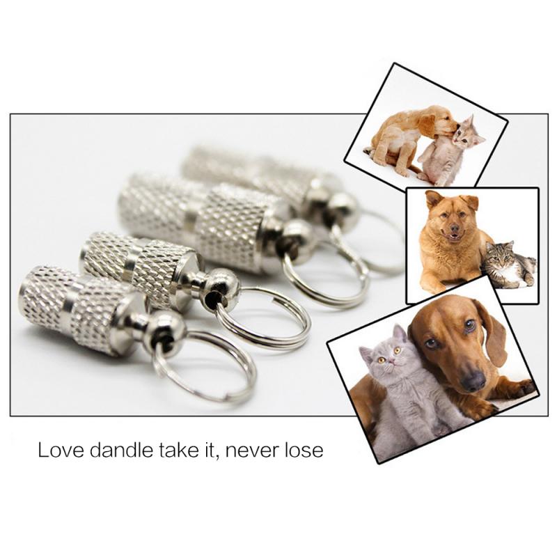 Pendentif adresse pour animaux de compagnie chien chat Tube de rangement Anti perte argent adresse étiquette chat étiquette d'identification pour animaux de compagnie collier en métal Tube collier