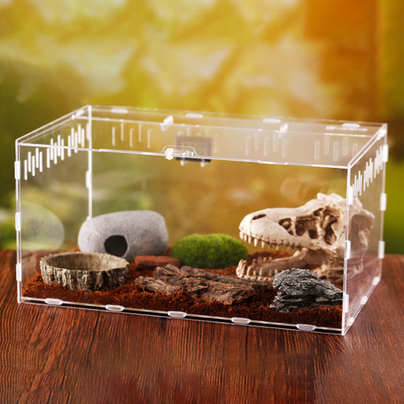 Zbiornik gadów owady pająki żółw jaszczurka akrylowy przezroczysty inkubator Spide rogaty żaba chrząszcz Vivarium pokrywa Terrarium