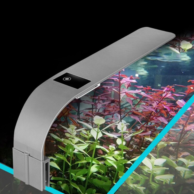 5x de beste aquarium verlichting in 2026