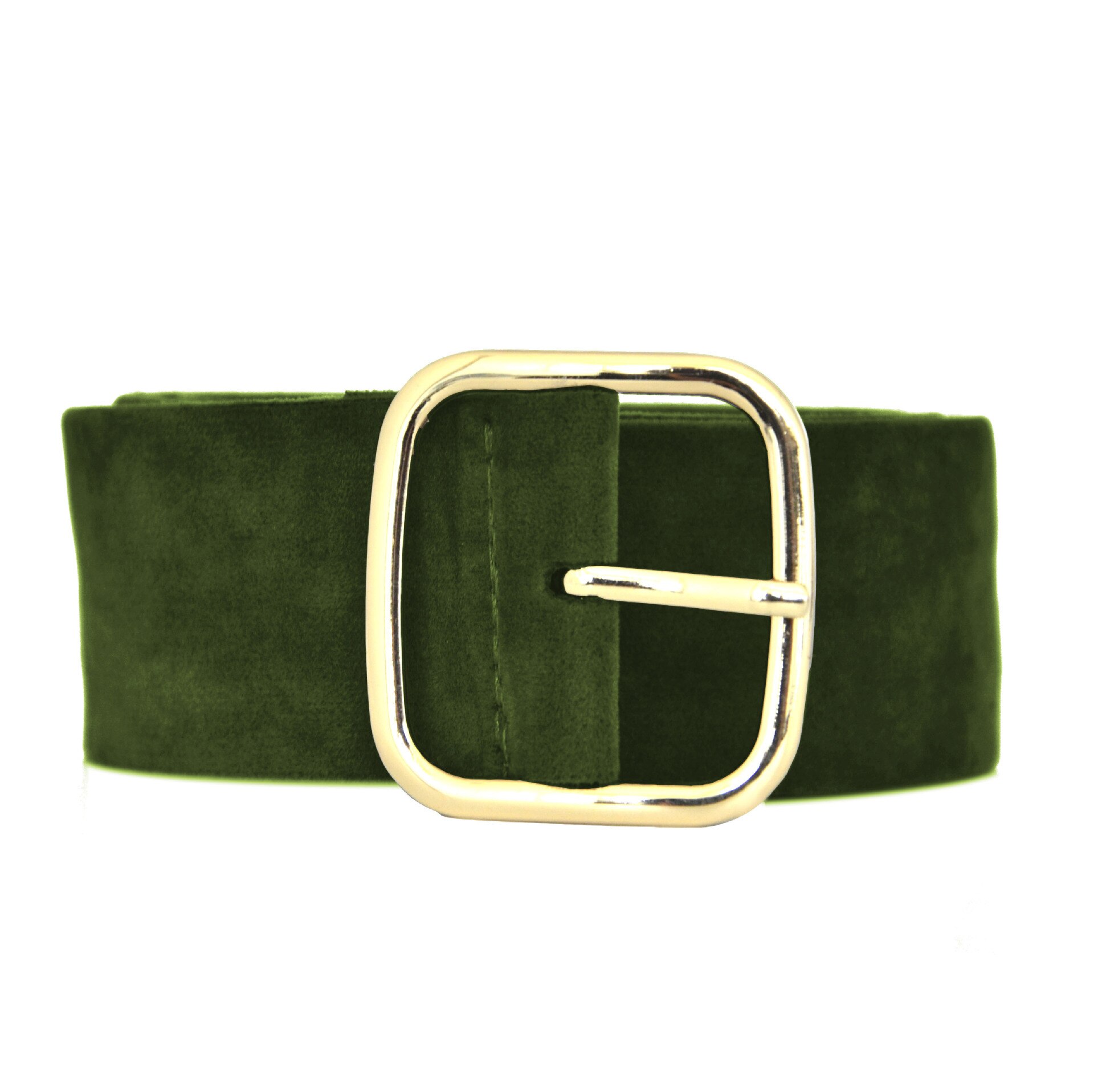 Brede Riem Vrouwelijke Jurk Riemen Versier Tailleband Gold Pin Gesp Fluwelen Riem Party Riem Zwart Flanel Vrouwen: green