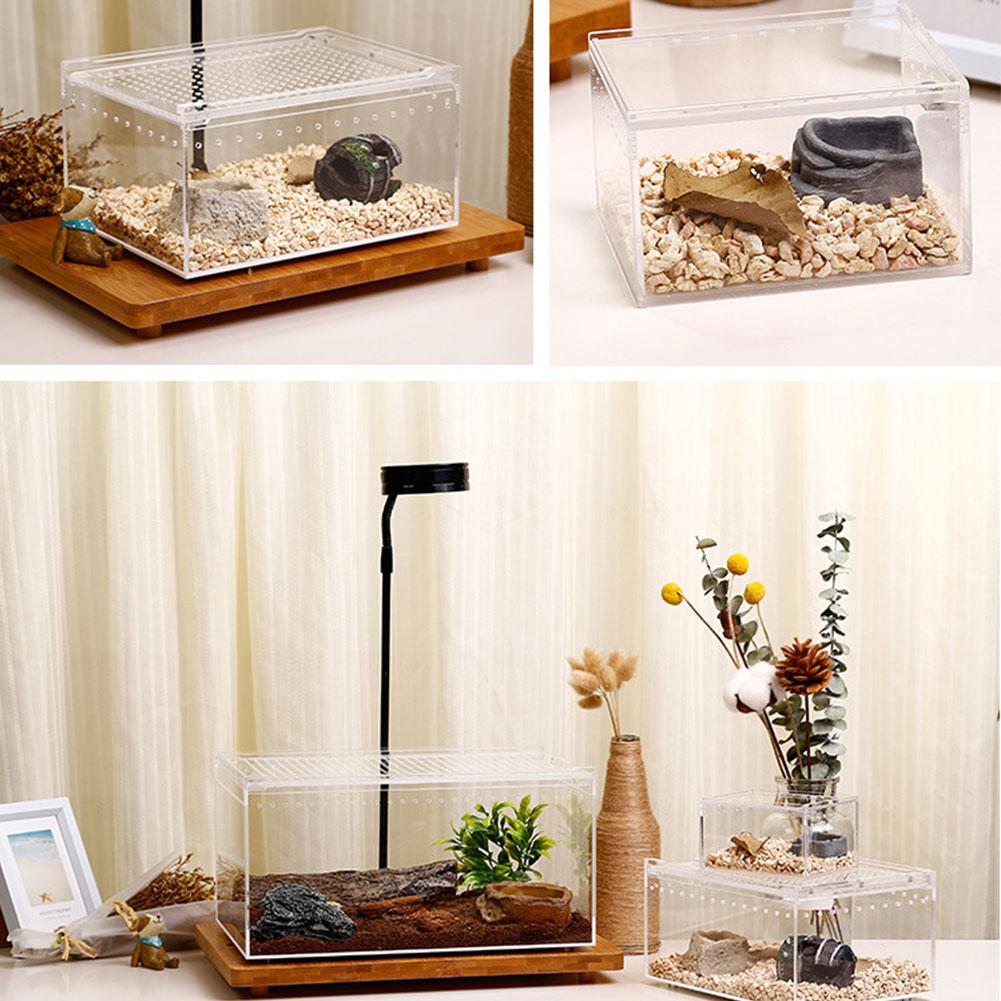 Reptile Breeding Box Clear Acrylic Reptile Feeding Box Multipurpose Terrarium For Insect Tarantulas Amphibians Caterpillars Snai