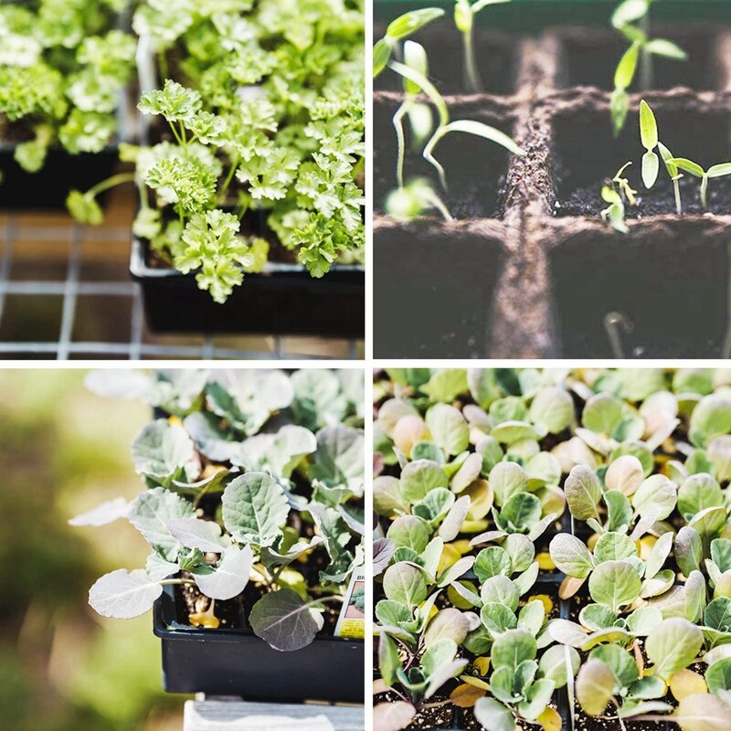 Best Seed Starter Kit For Seedlings Seed Starter Tray, Including Biodegradable Seed Starter Pods,Growing Trays &amp; Plant Labels