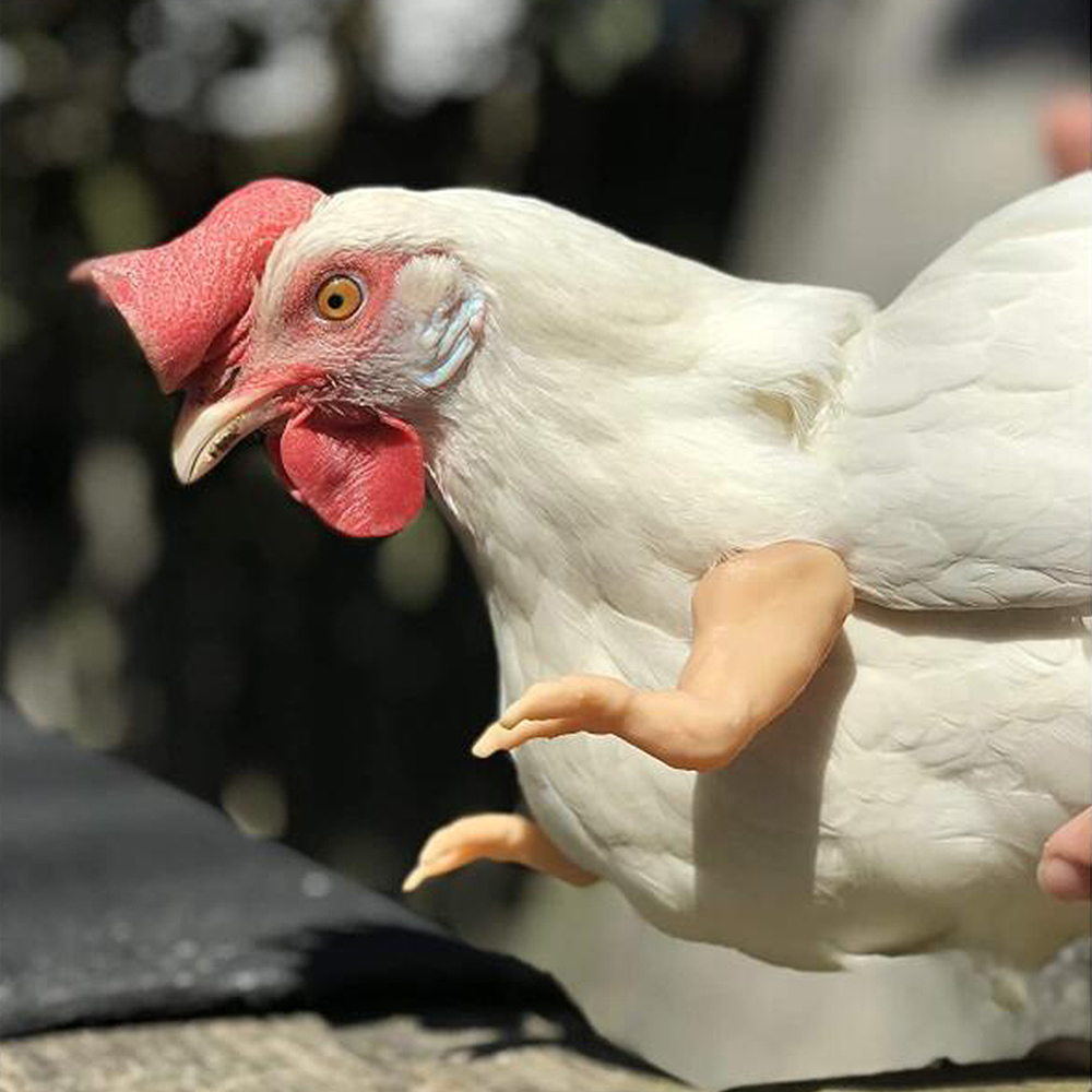 Arms For Chicken 3D Printed, Fist Arms Meme, Thumbs-Up Chicken Decoration