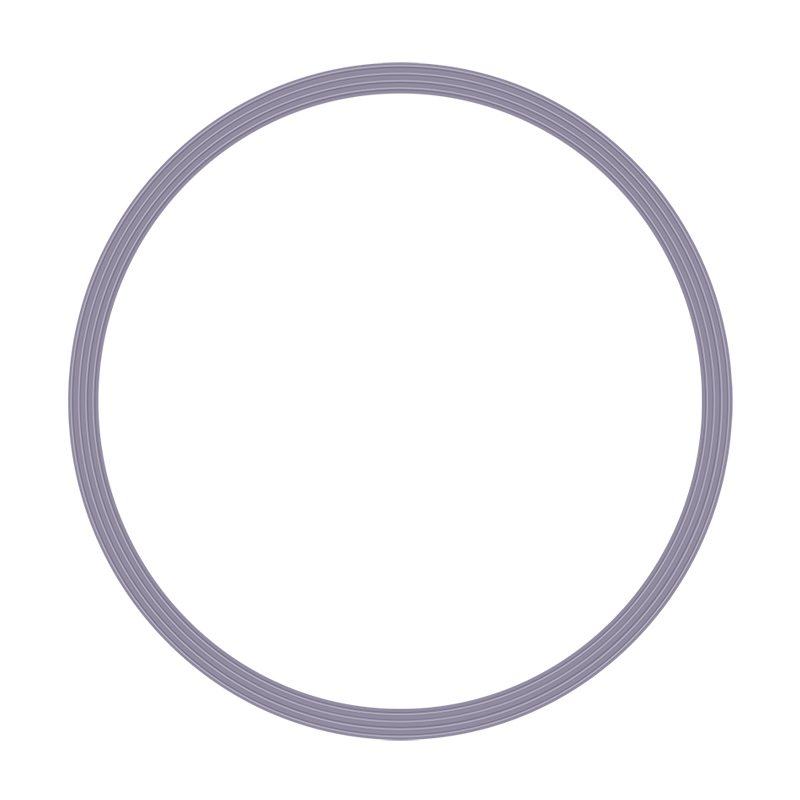 03 for Mocom Exacta chamber gasket Autoclave sterlization door gasket replacement seal o- ring Chamber accessories and tools