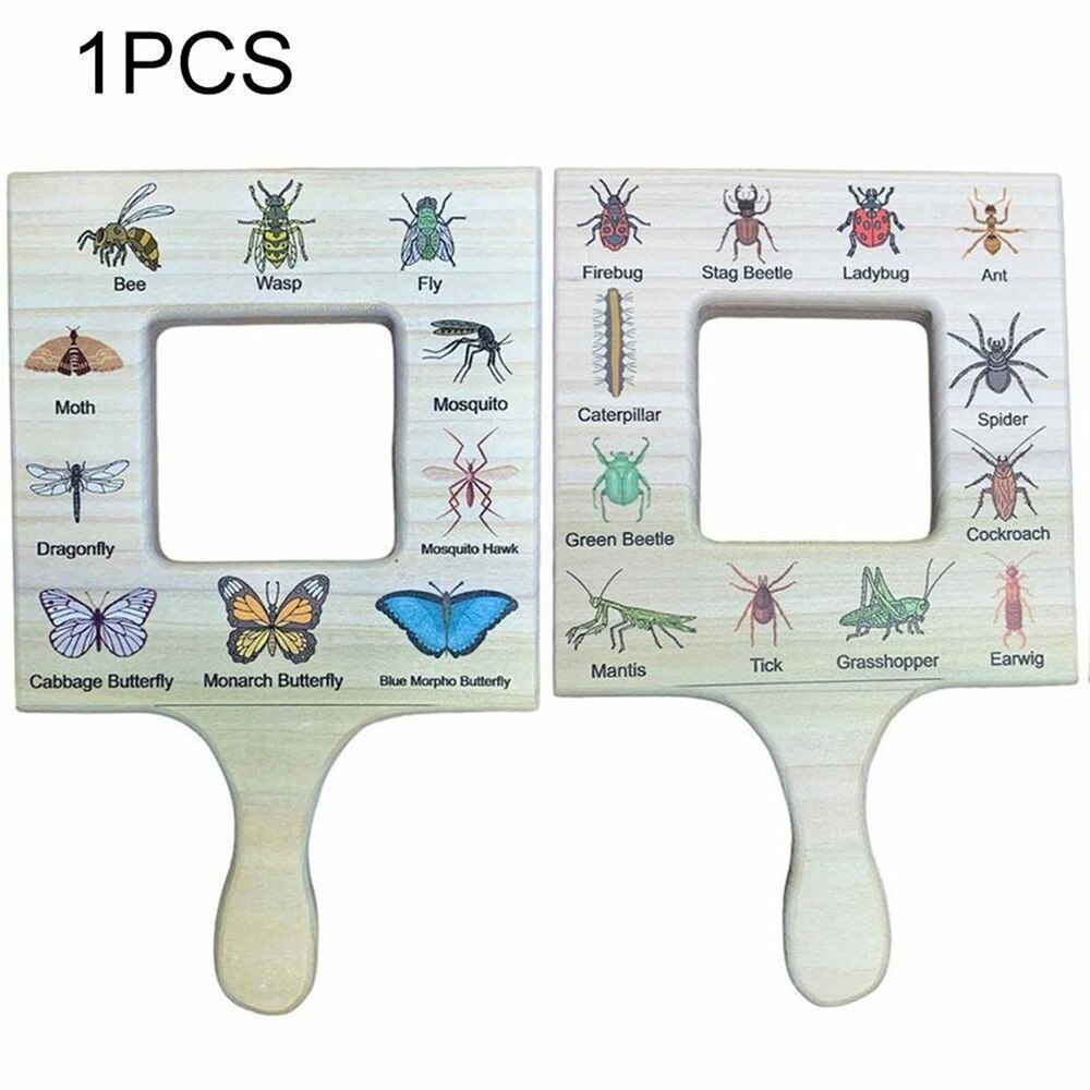 Nature Guide Finder Leaf Finder Cloud Viewer Identification Guide Homeschooling Nature Identification Materials Frame: insect / 25X15X1cm