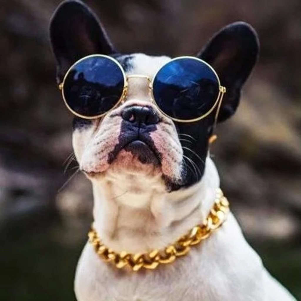 Hip Hop Pet Necklace Cuban Link Thick Golden Chain Dog Cat Gold Chain Pets Safety Collar 45cm Stylish Funny P3