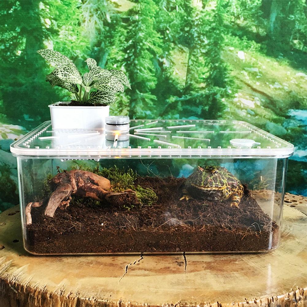 29cm*22cm*12cm Reptile Breeding Box Safe Breathable Acrylic Feeding Tank For Breeding Spiders Geckos Frogs Small Snakes Etc