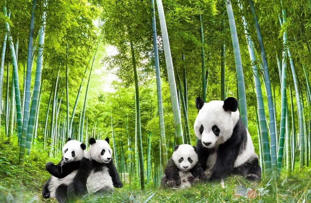 3d vandtæt selvklæbende store vægklistermærker tapetmærkat vægmaleri panda bambus