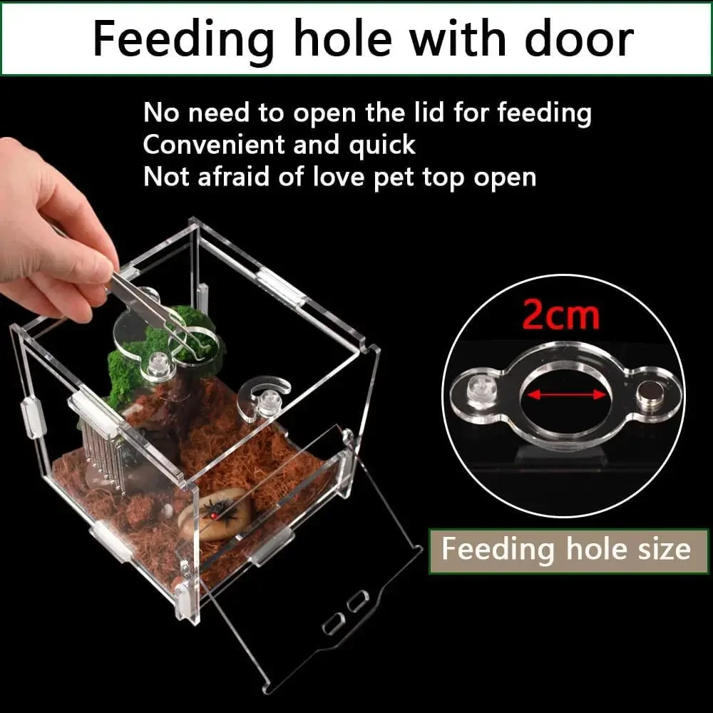 Caja de alimentación de araña acrílica, jaula acrílica transparente para Reptiles pequeños, hábitat, arañas saltadoras, jaulas antiescape para insectos, caja de cría
