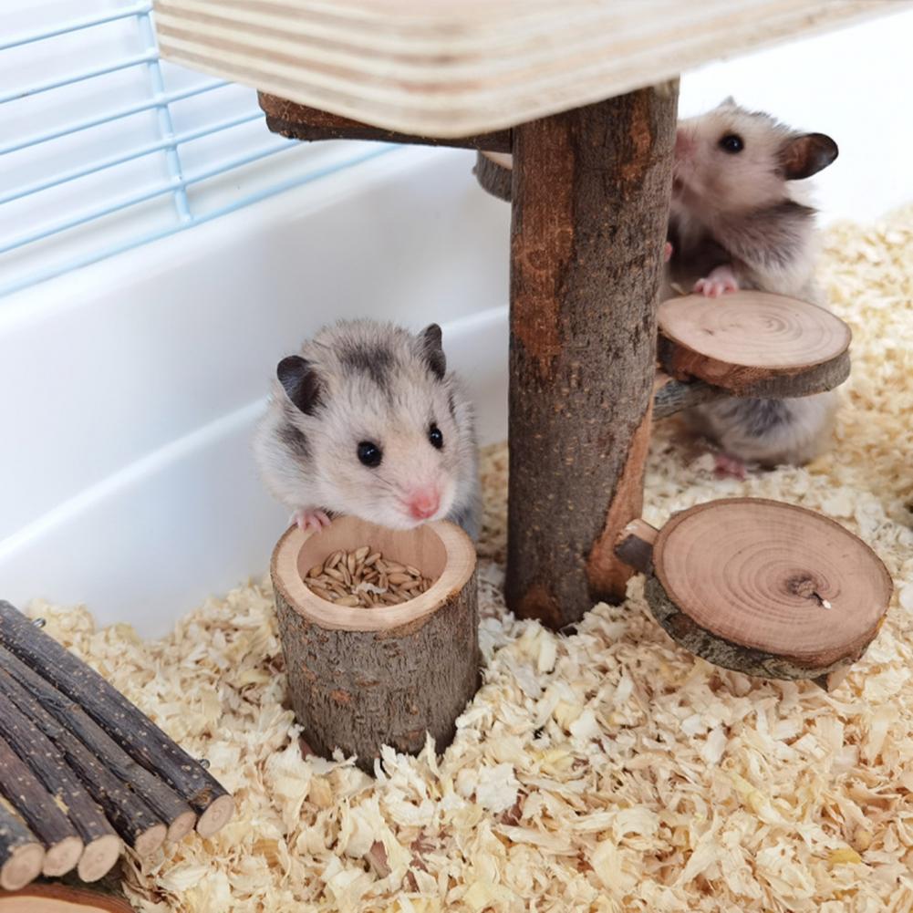 Small Animal Toy Pet Leisure Squirrel Chew Toy Pet... - Grandado - Hamster Climbing Gear Treated Safe
