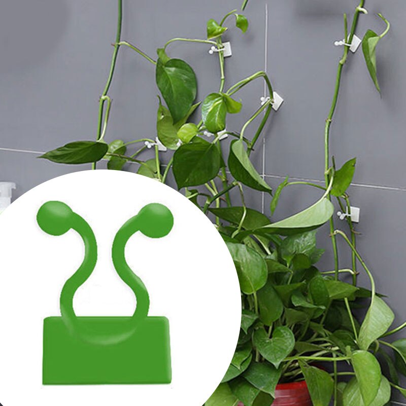 10pcs/set Invisible Wall Vines Fixture Wall Sticky Hook Climbing Vine Plant Fixer Home Balcony Garden Decoration Holder
