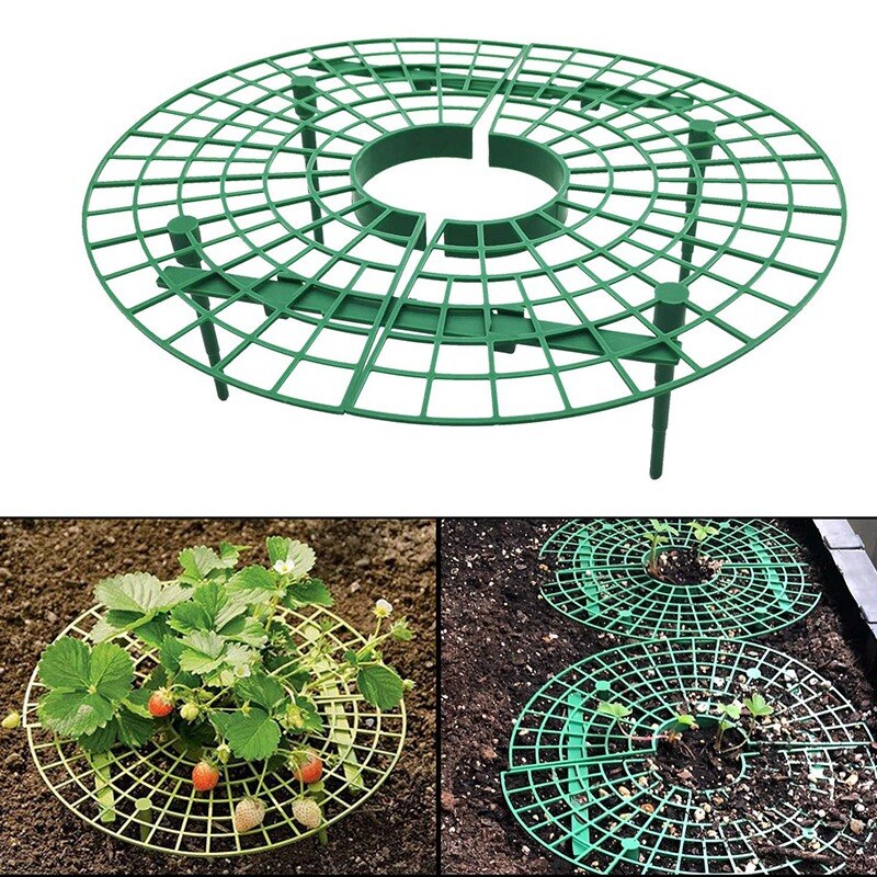 3Pcs Aardbei Ondersteuning Stand Aardbei Stand Tuin Rotan Stand Plant Stand