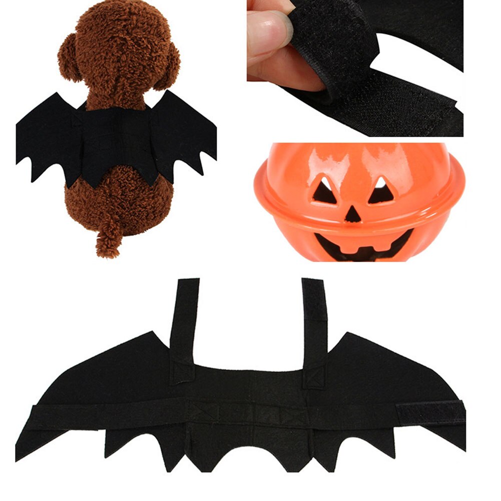 Disfraz de Animal mascota perro gatito murciélagos con campanas de calabaza disfraz de Halloween sofisticado disfraz para foto accesorios productos para mascotas