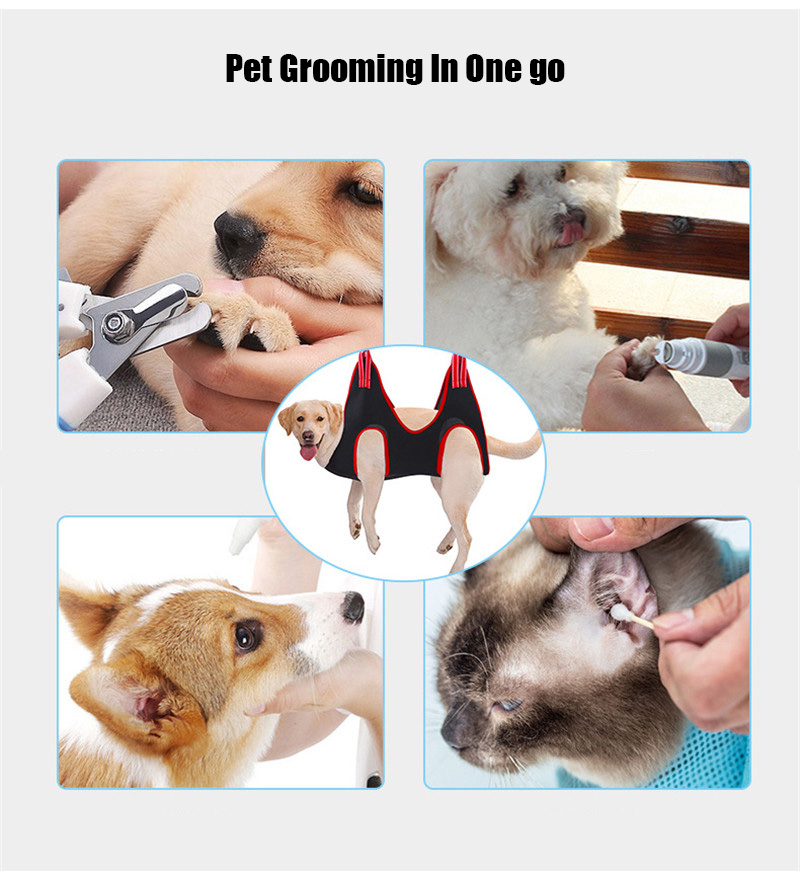 Huisdier Kat Grooming Hangmat Helper Kat Grooming Hammocls Terughoudendheid Zak Puppy Hond Kat Nail Clip Trimmen Tool Hond Klauw zorg Zak