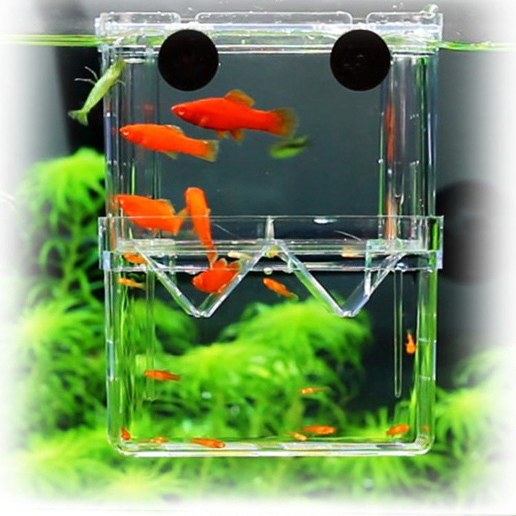Transparent Fish Tank Breeding Isolation Box Double-layer Self-floating Acrylic Fish House Aquarium Fish Fry Breeding Supplies