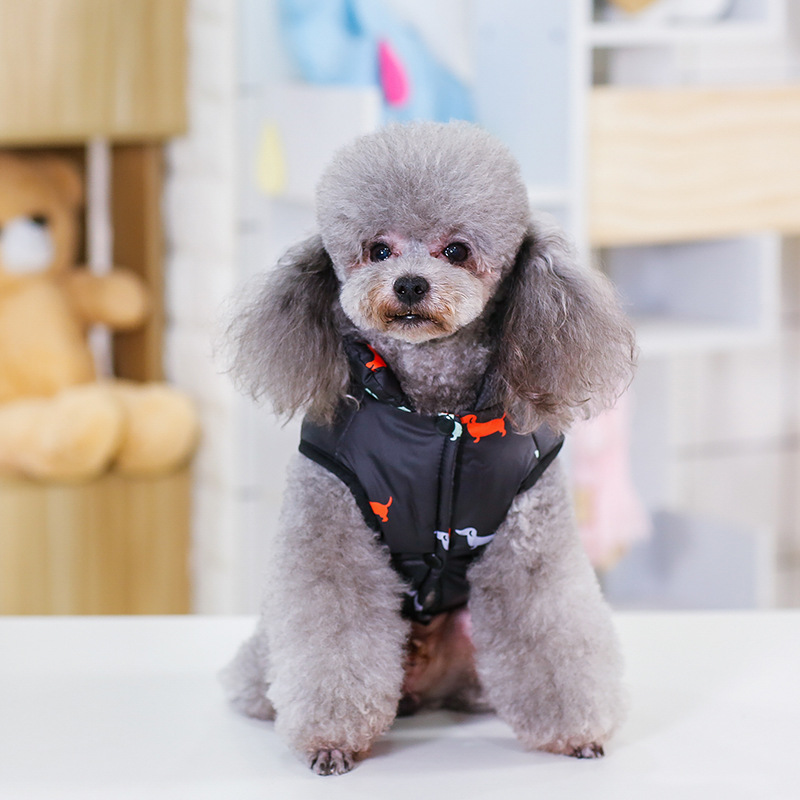 Manteau d&#39;hiver pour chien, vêtement pour petit gabarit, yorkshire, Chihuahua, bouledogue français, chiot