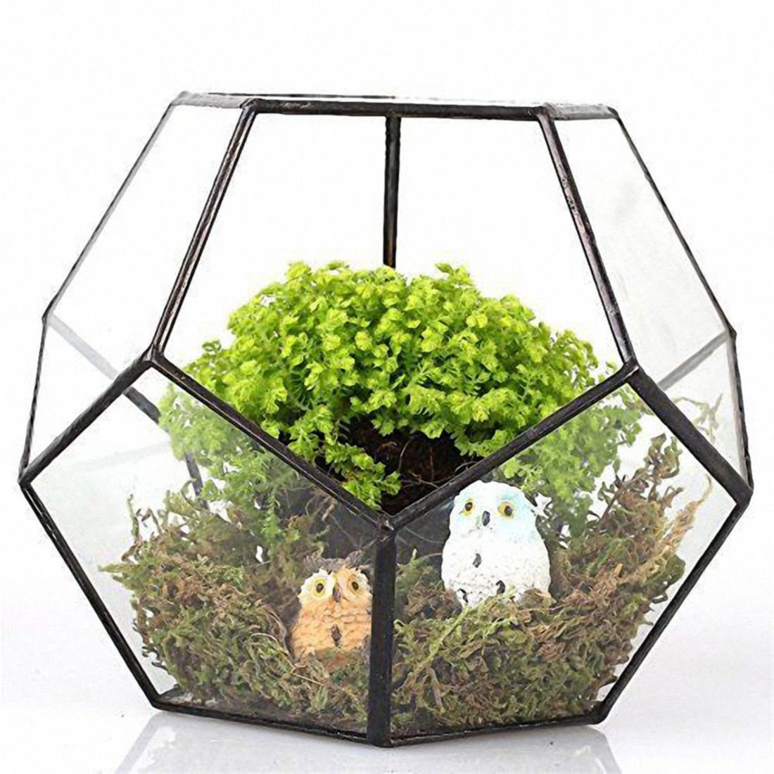 Glas Terrarium Geometrisch – 16 X 16 X 15 Cm, Mit Kupfer-Akzent, Für Sukkulenten Oder Deko