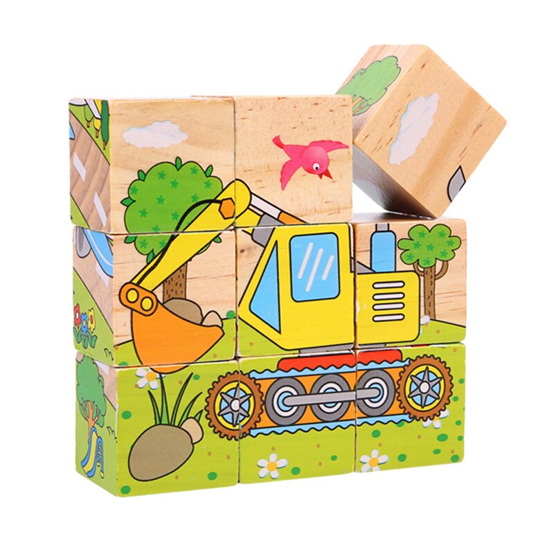 Houten Zes Zijdige Schilderen 9 Stuk Puzzel 3D Drie-Dimensionale Bouwsteen Puzzel Speelgoed