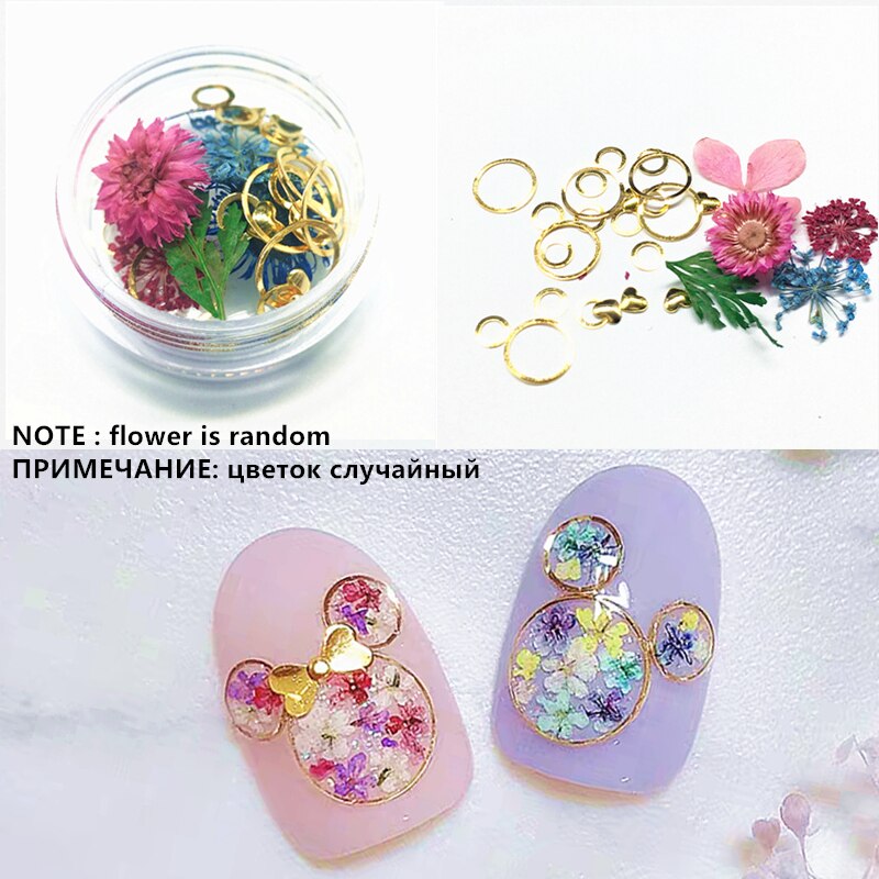 1 doos muis metaal 3d nageldecoraties gedroogde bloemen bedels dieren nagel paillette hart accessoires schelp manicure japans: 2