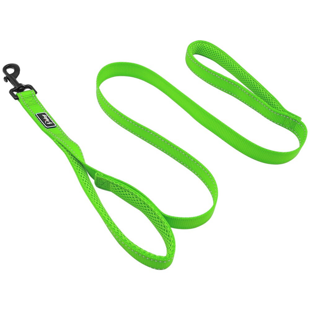 2 Handles Nylon Padded Double Handle Leash For Greater Control For Medium Large Dog Dual Padded Handles Protect Dog in Traffic: Green