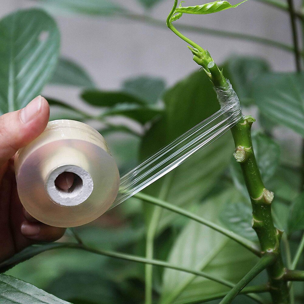 8 Maten Geënt Tape Adsorptie Film Gereedschap Wijnstok Fruit Tuin Thermostaat Vaste Film Plastic Film Milieuvriendelijke Afbreekbaar