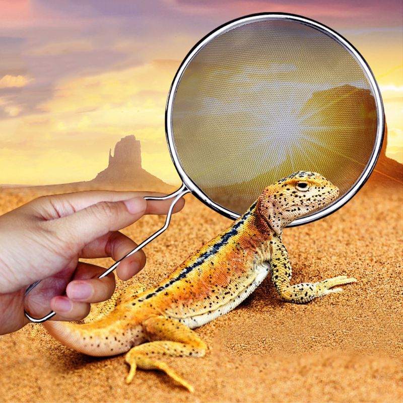 Reptil sand spade sil filter rustfritt stål scoop pet animal case rengjøring