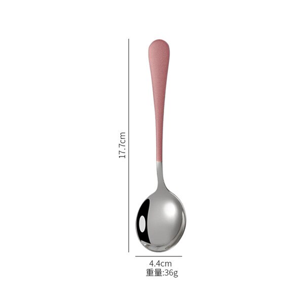 Colorful Soup Spoon 304 Stainless Steel Dinner Spoon With Long Handle Big Cooking Food Scoop For Kitchen Tableware: silver 2