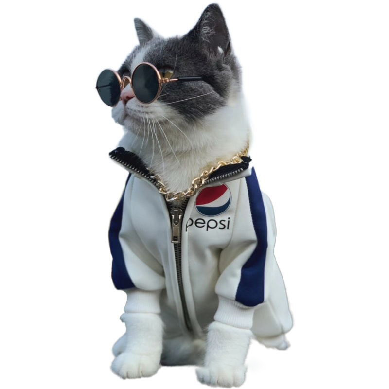 Jolies lunettes de soleil rondes Vintage pour chat, lunettes réfléchissantes pour petit chien, chat, Photos d'animaux de compagnie, produits pour animaux de compagnie, accessoires