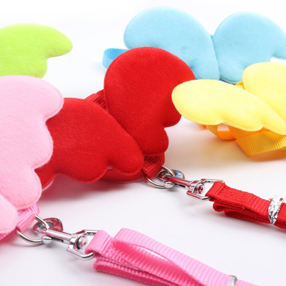 Schattige hond puppy engelenvleugel wandelriem harnas riem riem halsband verstelbaar