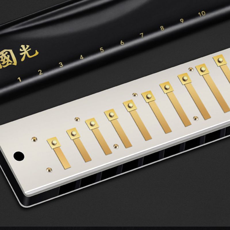 Armonica blues a 10 fori, strumenti musicali per organi armonica professionali, erpi, chiave professionale di C per Performanc