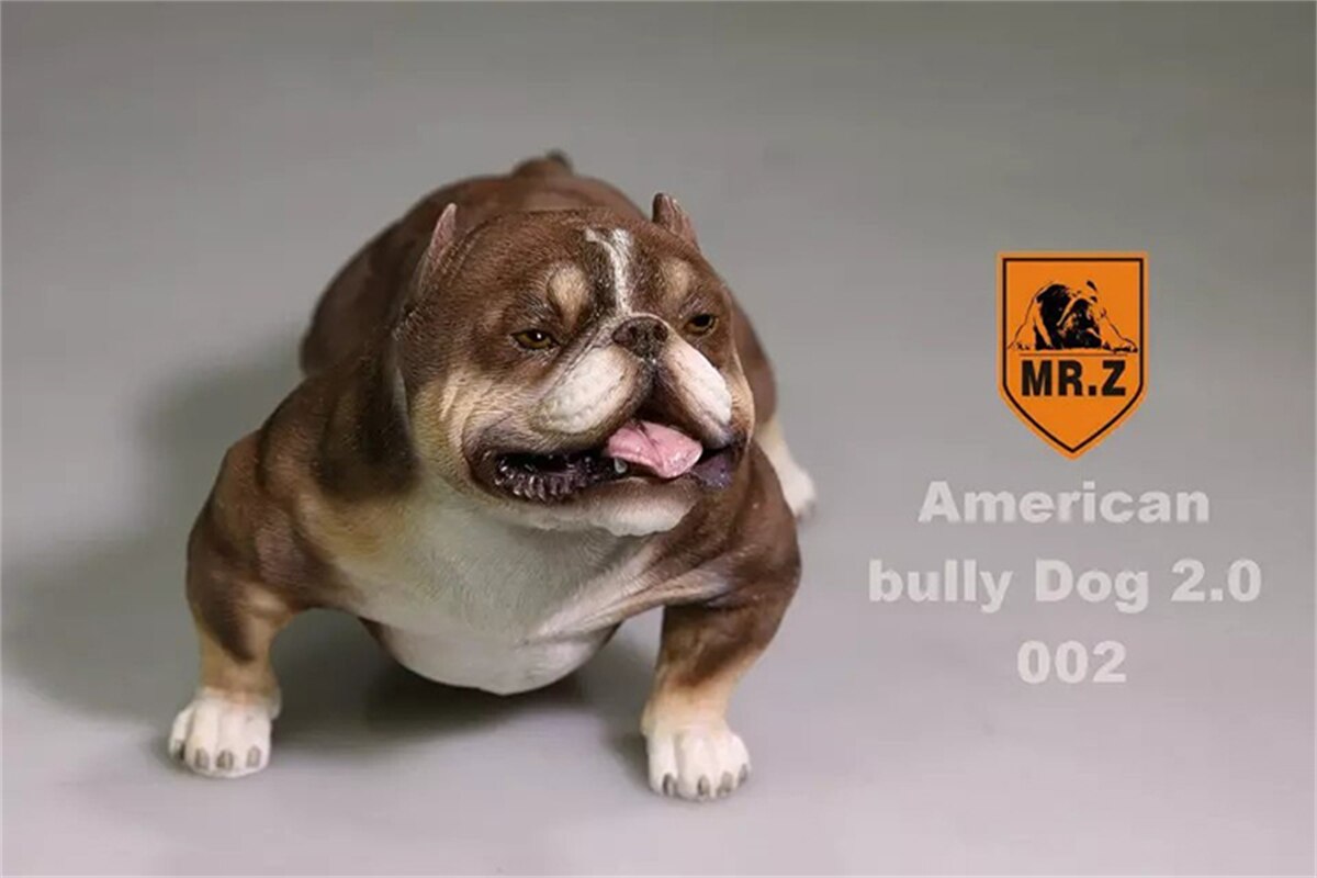 Mr.Z Studio 1:6 American Bully Pitbull Dog Pet Figure Animal Toy Collector Xmas Play Decoration Ornaments Hand To Do: 002