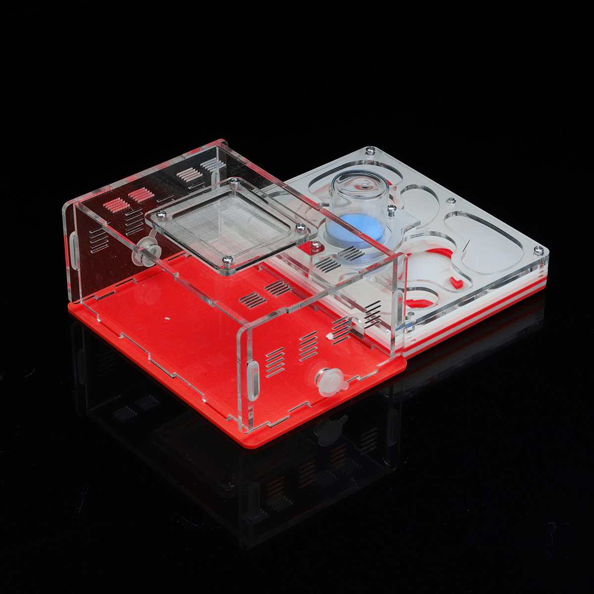 DIY Ameise Nest Ameise Bauernhof Ameisen Arbeit Pädagogisches Formicarium Acryl Insekt Ameise Nester Villa Haustier Manie Haus freundlicher: verrotten
