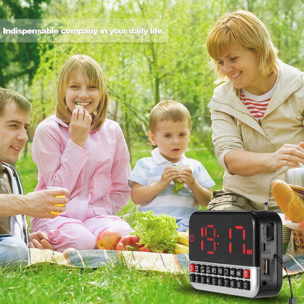 Longruner FM Radio Digital Stereo Speaker 12cm LED Display Alarm Clock & Clock USB Disk TF Card AUX 1500mAh Battery