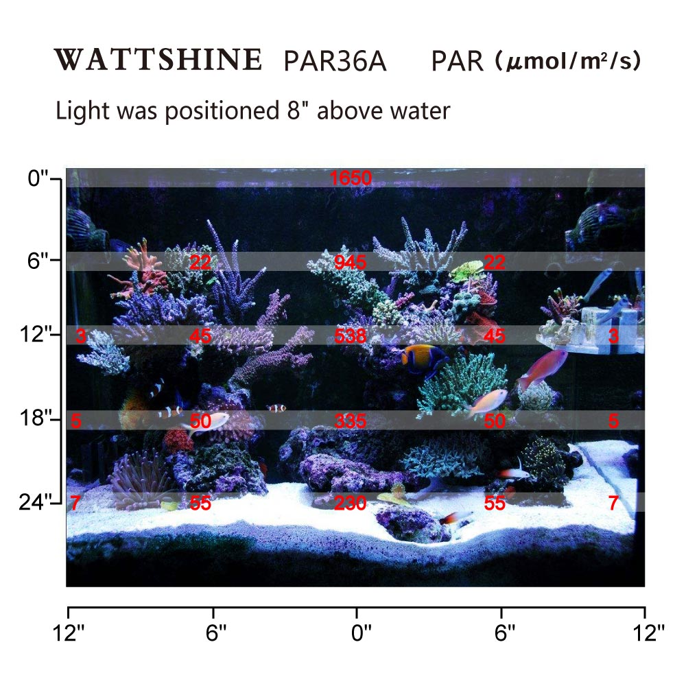 Huisdier Verlichting 36W Aquarium Verlichting Cora... Grandado