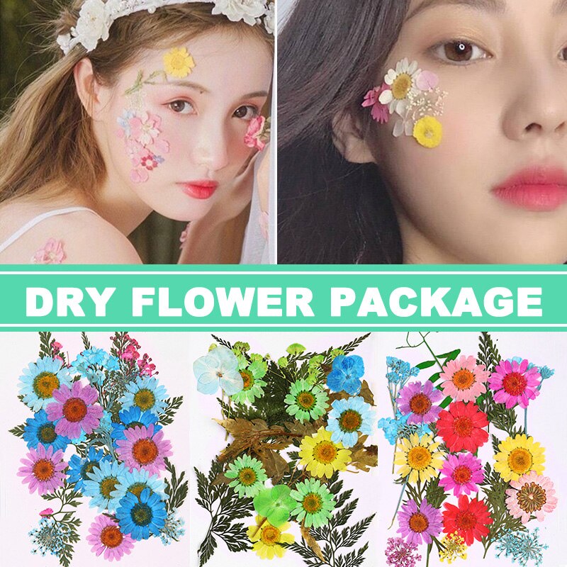 Pressed Flower Mixed Dried Flowers DIY Art Floral Decors Collection Craft DIY B99