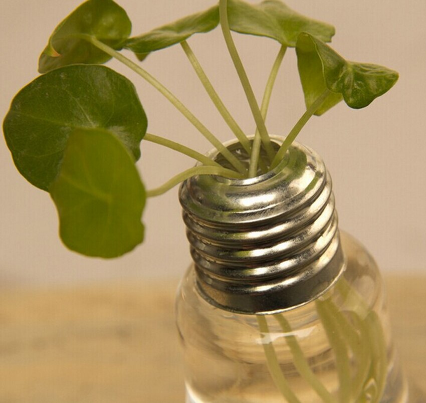 1Pc Light Bulb Transparent Glass Vase Hydroponic Vase Home Decor Wedding Decoration Home Decoration