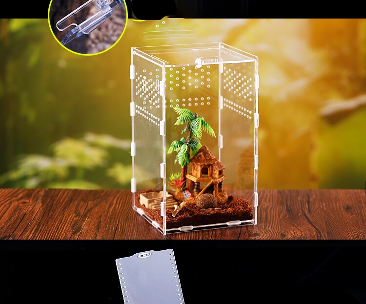 Reptile Breeding Box Transparent Insect Terrarium ... – Grandado