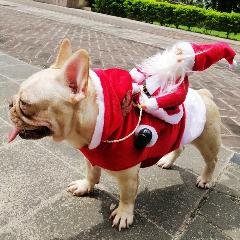 Costumi natalizi per cani da compagnia costumi divertenti costume da babbo natale per cani gatti novità vestiti per cani chihuahua carlino york abbigliamento