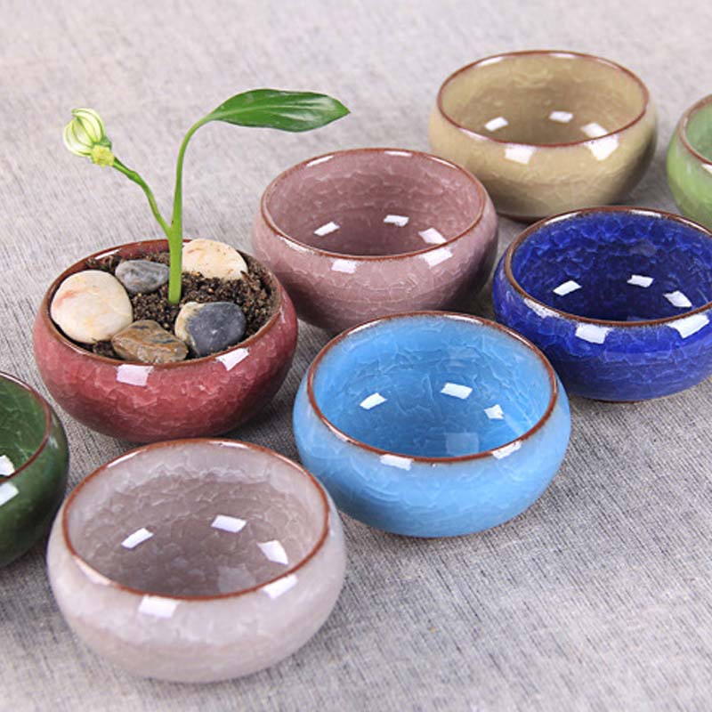 Céramique glace fissure Zisha série succulente plante Pot Cactus bonsaï Pot Pots de fleurs conteneur planteur décoration pour bureau jardin