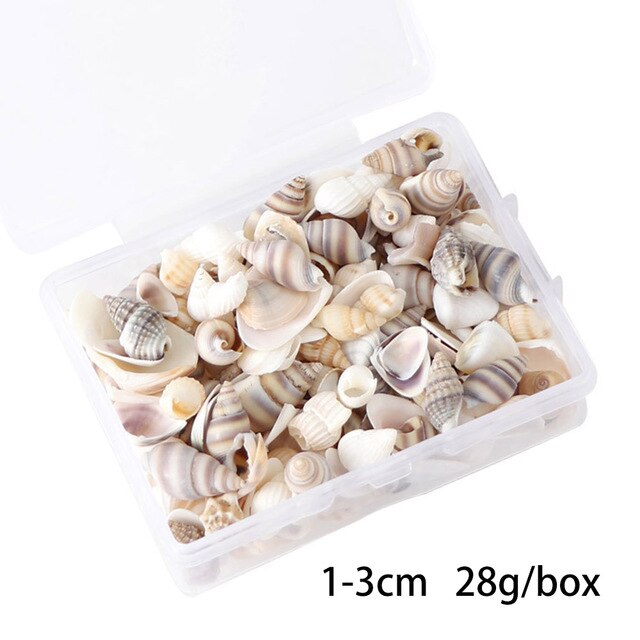 100 PCS Boxed Natural Conch Shells Mini Conch Corn Screw Wall Decoration DIY Aquarium Landscape Seashells Jewelry DIY Craft: Plum