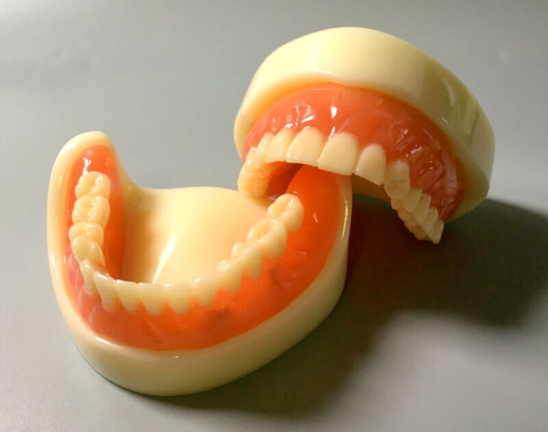 Modelo de dentadura completa Dental, accesorio magnético, estudio superior de la Mandibular